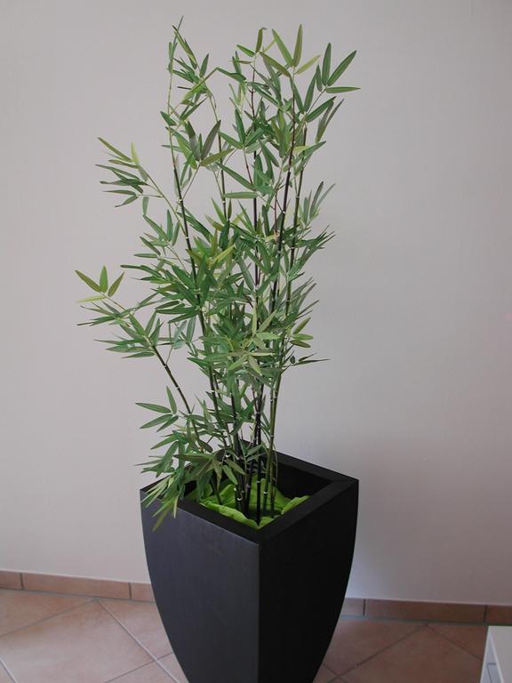 Ferienwohnung Pusteblume Cochem Bilik gambar